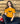 Schatzi Purple and Gold Classic t-shirt